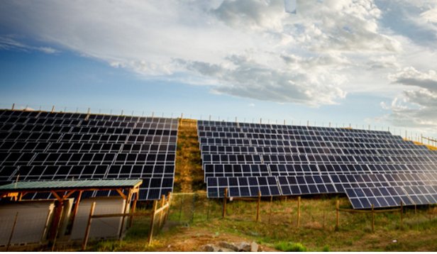 Ground-mounted solar array at golden hour